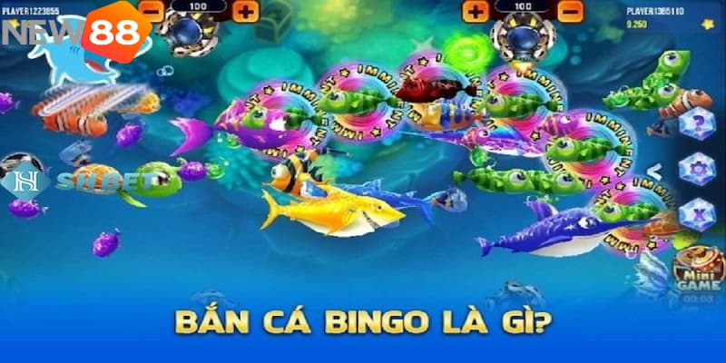 Chinh phục biển cả với luật chơi bắn cá Bingo